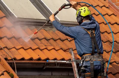 Démoussage et hydrofuge de toiture à Tersanne